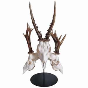 Bordstativ | 3 Bukke