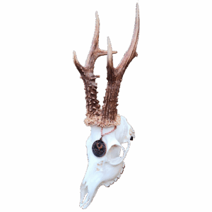 Vægbeslag | Rådyr